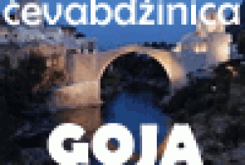 Ćevabdžinica Goja