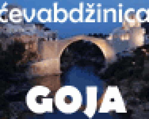 Ćevabdžinica Goja