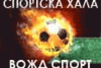Sportska hala Vožd Sport