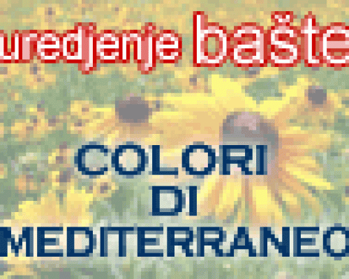 Uređenje bašte i vrta Colori Di Mediterraneo