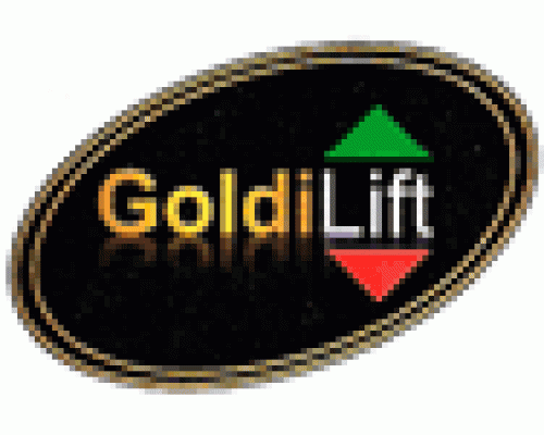 Ugradnja i servis liftova Goldi lift