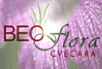 Cvećara Beoflora