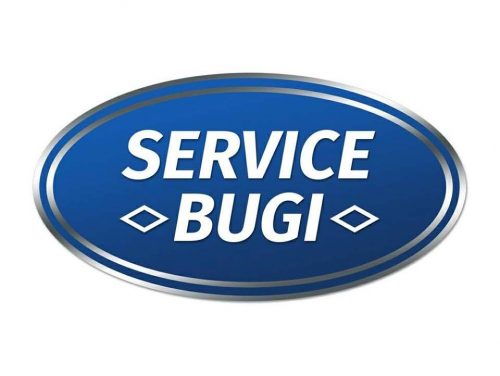 Land Rover Servis Bugi