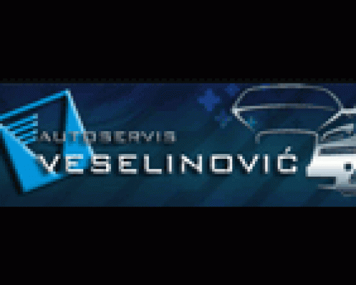 Auto servis Veselinović
