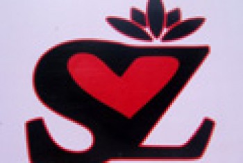 Studio S Živanović