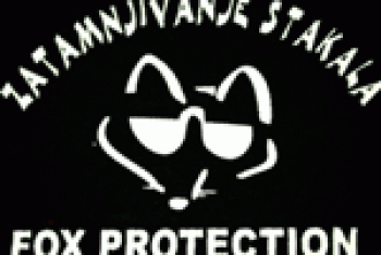 Zatamnjivanje stakala Fox Protection