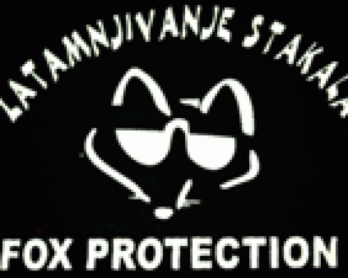 Zatamnjivanje stakala Fox Protection