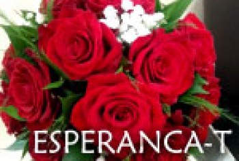 Cvećara Esperanca T