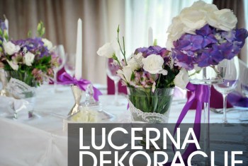 Dekoracije venčanja Lucerna