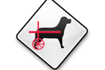 Izrada kolica za pse – Dragan Dimitrijević