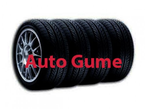 Vulkanizerska radnja Auto Gume