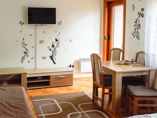 Apartman Snežana 1