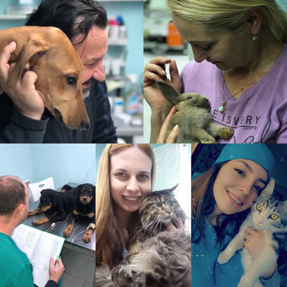 Veterinarska ambulanta SemperaVet Bezanijska Kosa