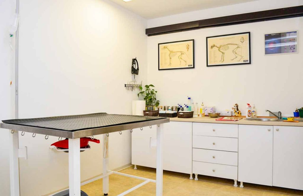 Veterinarska ambulanta Canis Major Vozdovac Beograd