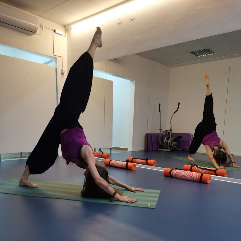 Fitnes Studio Fenix Fit Beograd