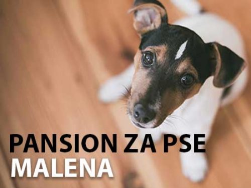 Pansion za pse Malena