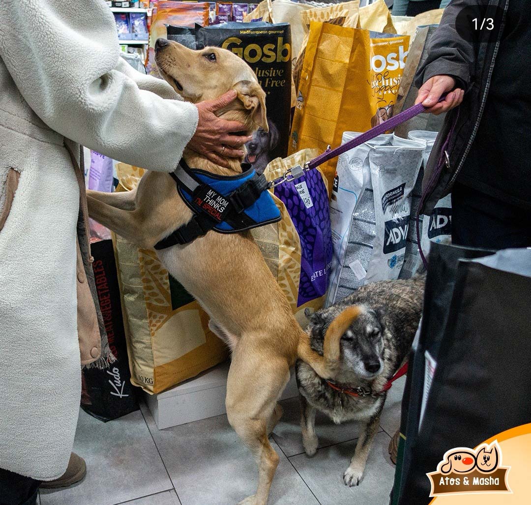 Veterinarska apoteka i pet shop Atos i Maša