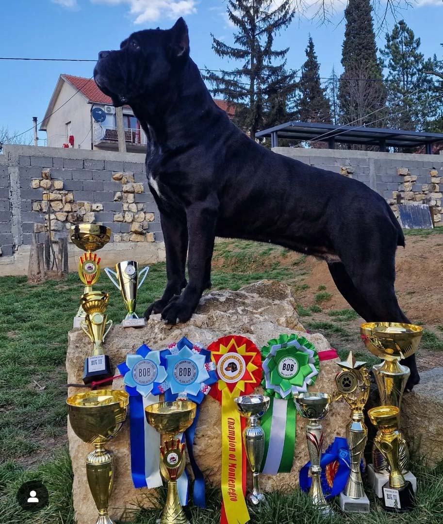 Odgajivačnica i pansion za pse Keeper Silver Gate