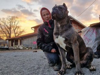 Odgajivačnica i pansion za pse Keeper Silver Gate
