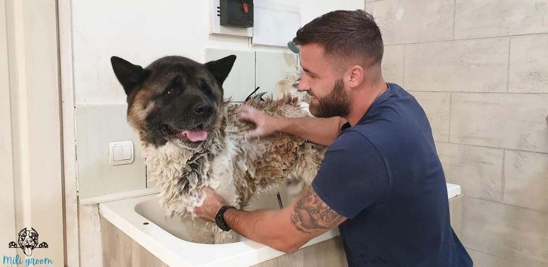Salon za kućne ljubimce Mili Groom