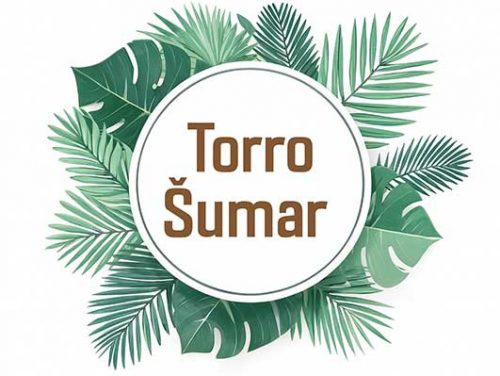 Rasadnik Torro Šumar