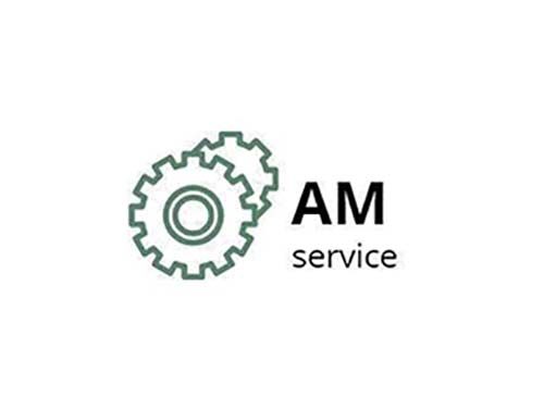 Auto servis AM service