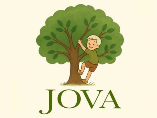 Centar za motoriku Jova