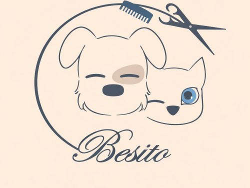 Šišanje pasa i edukacije Besito
