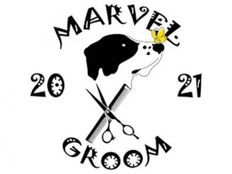Šišanje pasa Marvel groom