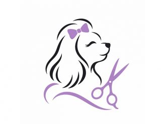 Šišanje pasa Violeta